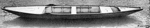 Sauterelle
